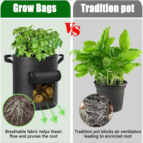 AGOLEAM 10-gallon capacity bag planted with vegetables on a sunny patio.
