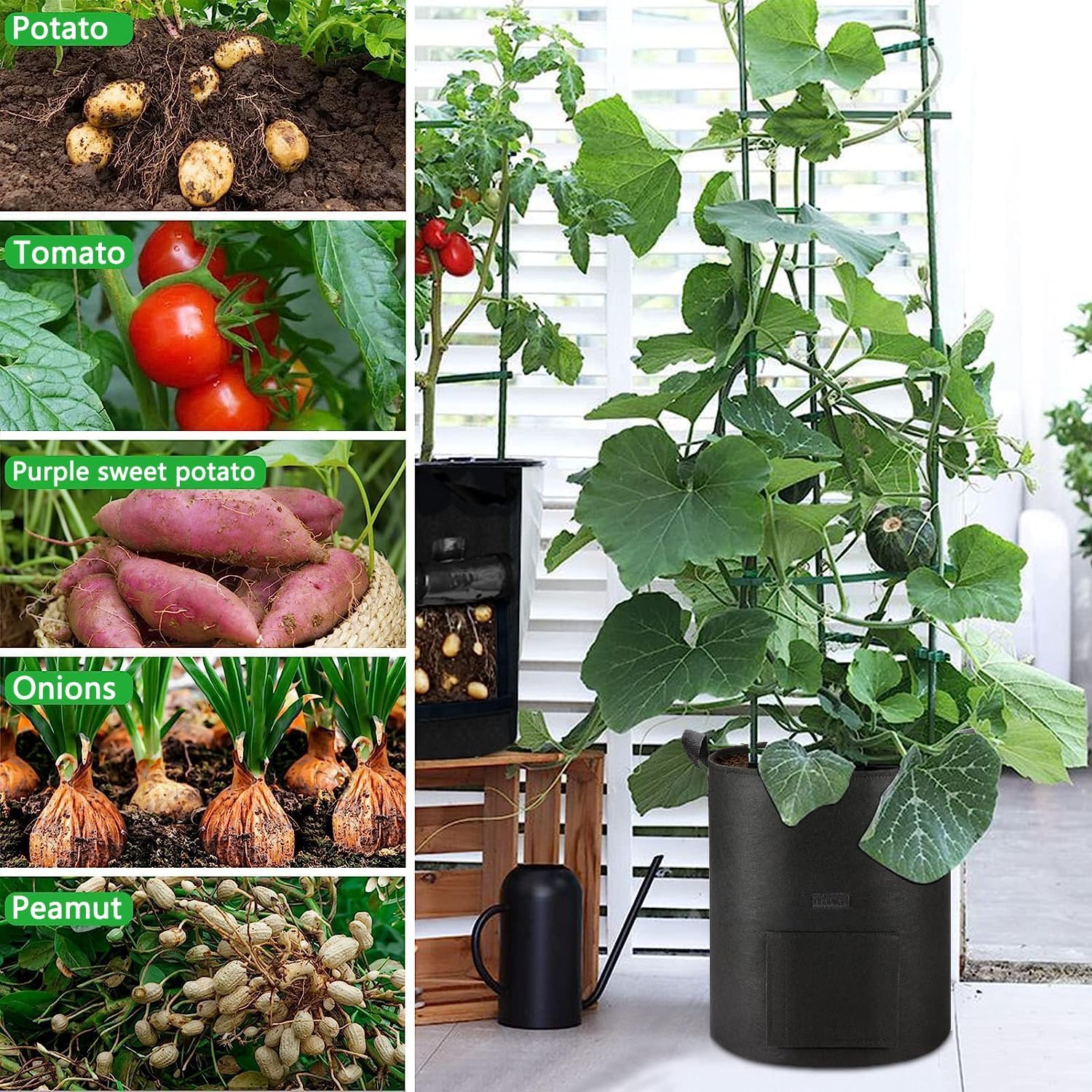 AGOLEAM vegetables thriving in grow bags on a patio garden.