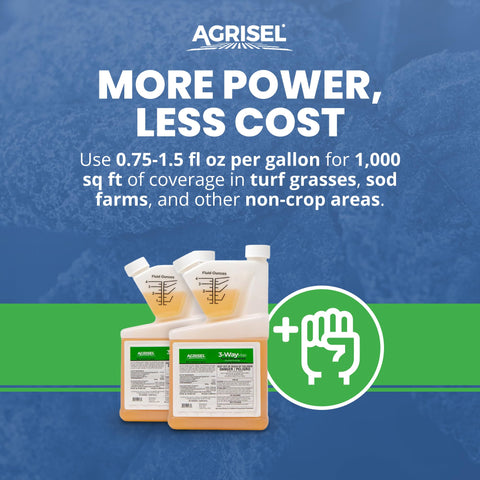 Agrisel 3 Way Max Weed Killer 3-pack gloves included for safe handling.