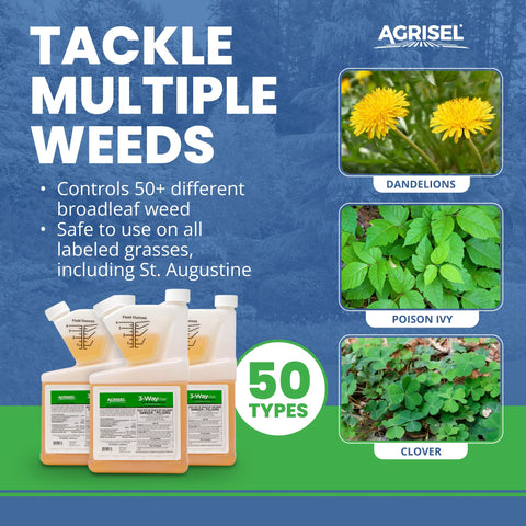Agrisel 3 Way Max Weed Killer application sprayer demonstrates simple mixing and targeted application.