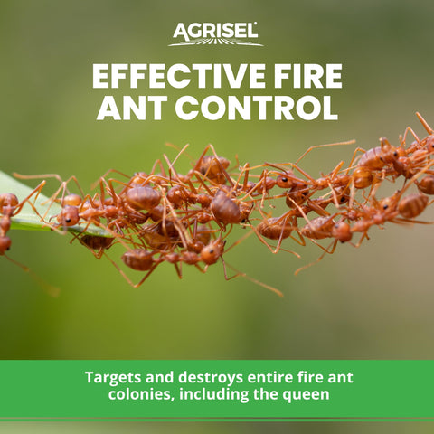 Close-up of Acephate Pro 75 SP being applied to a fire ant mound near a lawn.
