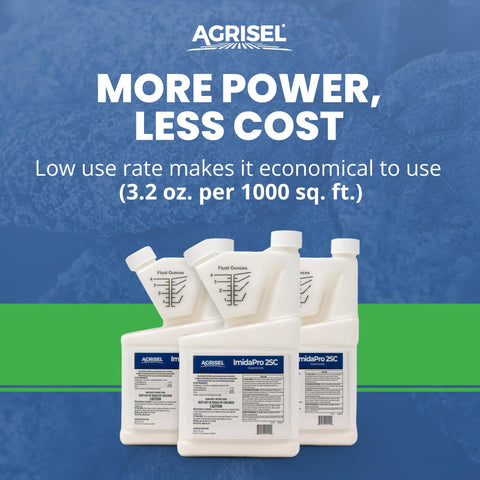Broad-spectrum pest protection shown on a lush lawn with Agrisel ImidaPro 2SC