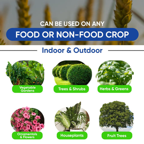 AgroMagen Si-Tech promotes healthy roots and nutrient absorption.