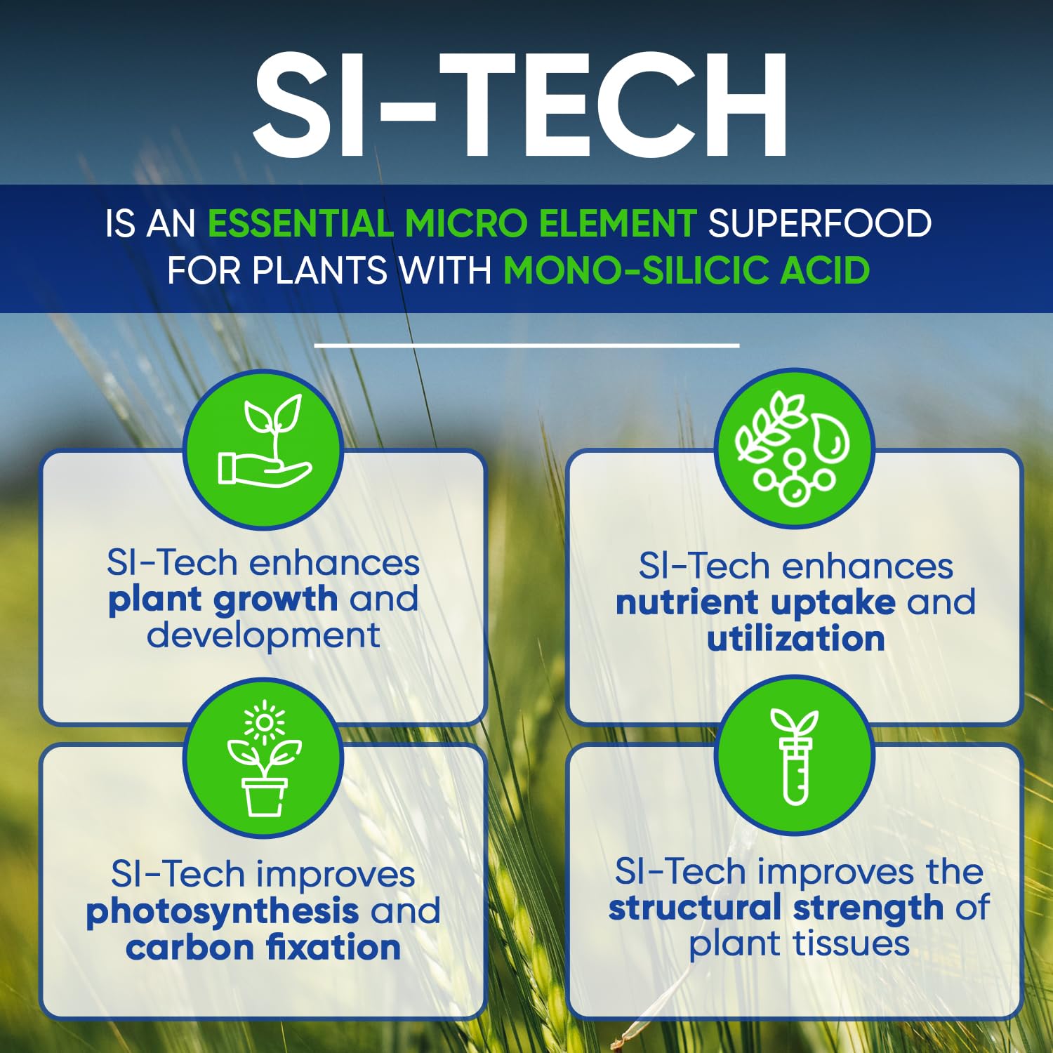 AgroMagen Si-Tech in a hydroponics setup illustrating versatile nutrient delivery.