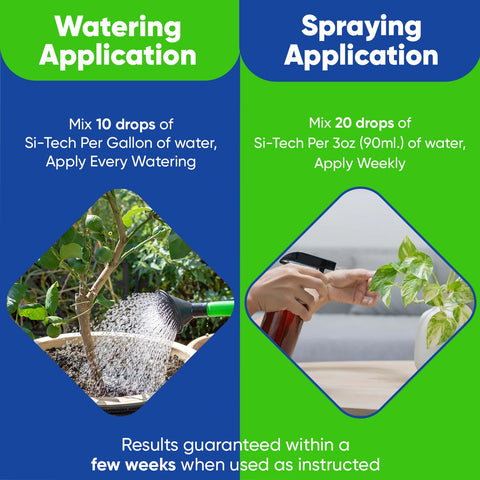AgroMagen Si-Tech shown supporting strong stem growth.