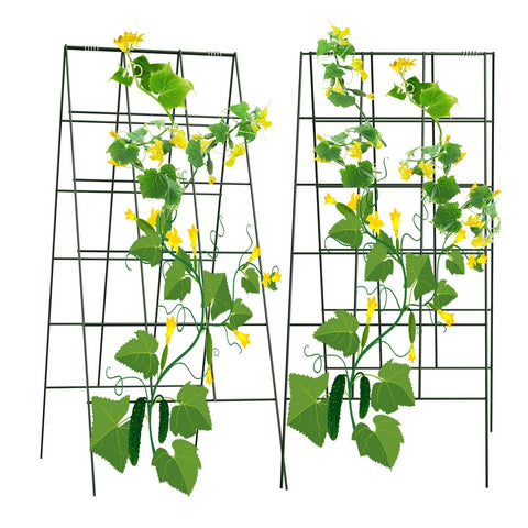 AGTEK two-pack foldable trellis front view for strong A-frame support of climbing plants