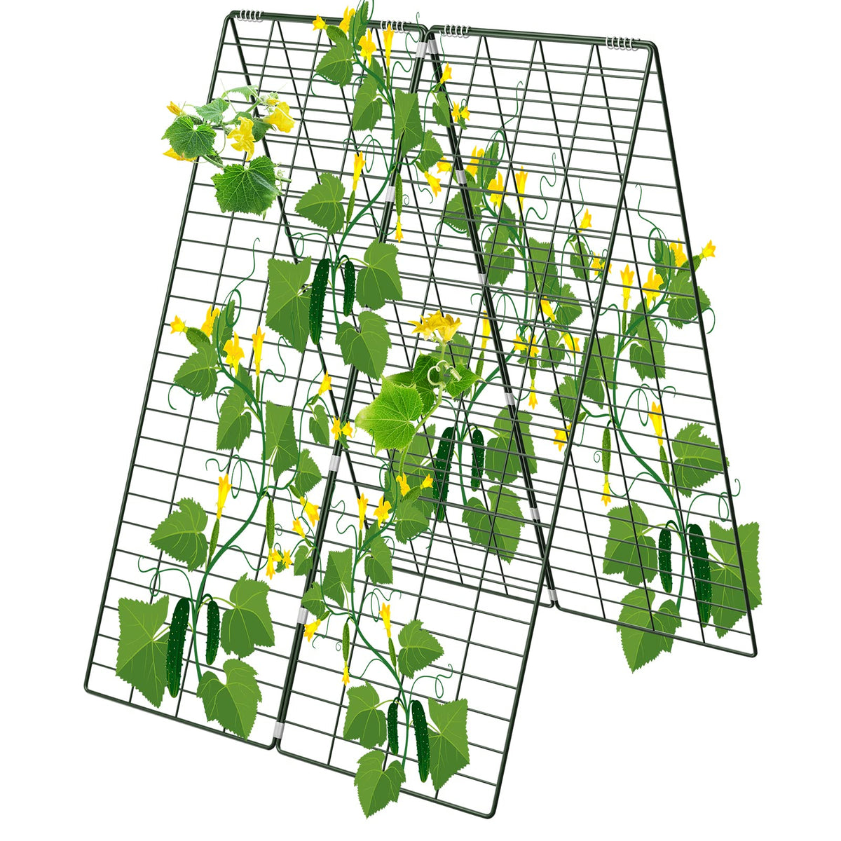 AGTEK foldable A-frame trellis with two growing surfaces for vines