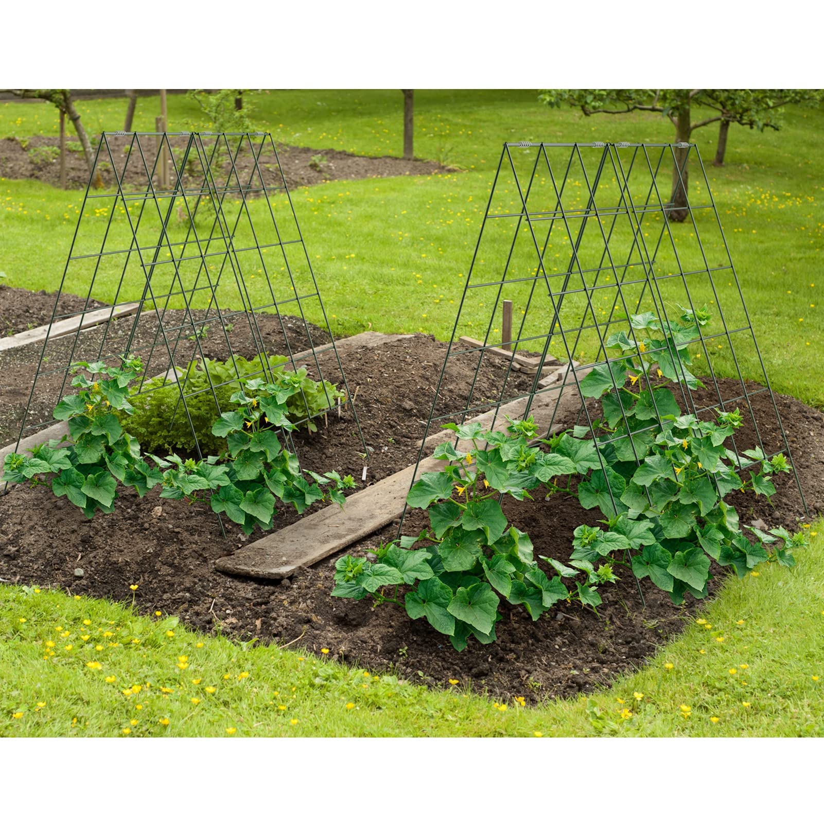 AGTEK foldable trellis storage solution for compact garden spaces