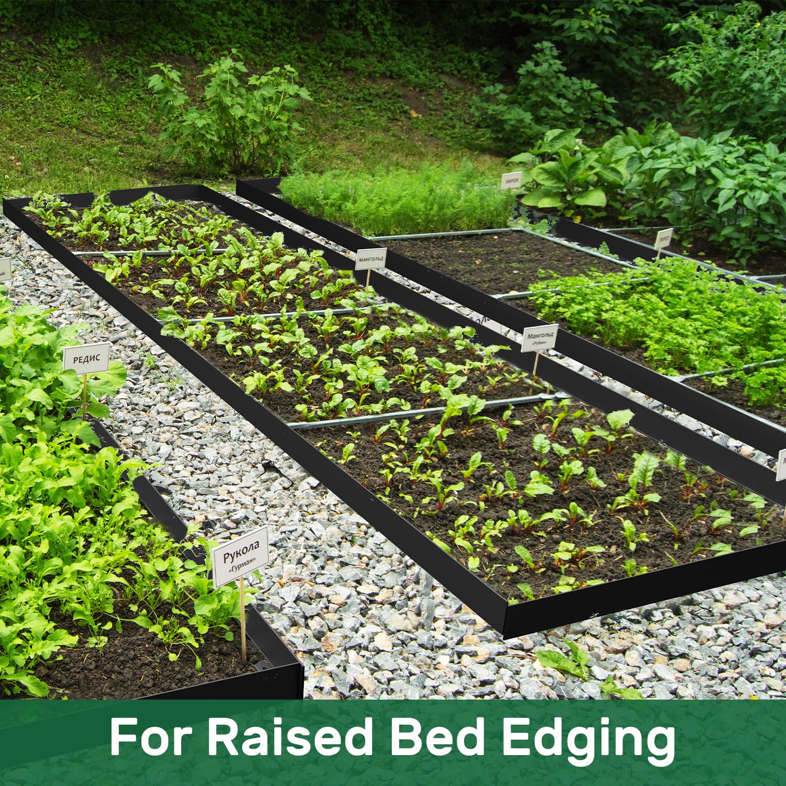 AGTEK versatile edging for lawns, borders, trees, and patios.