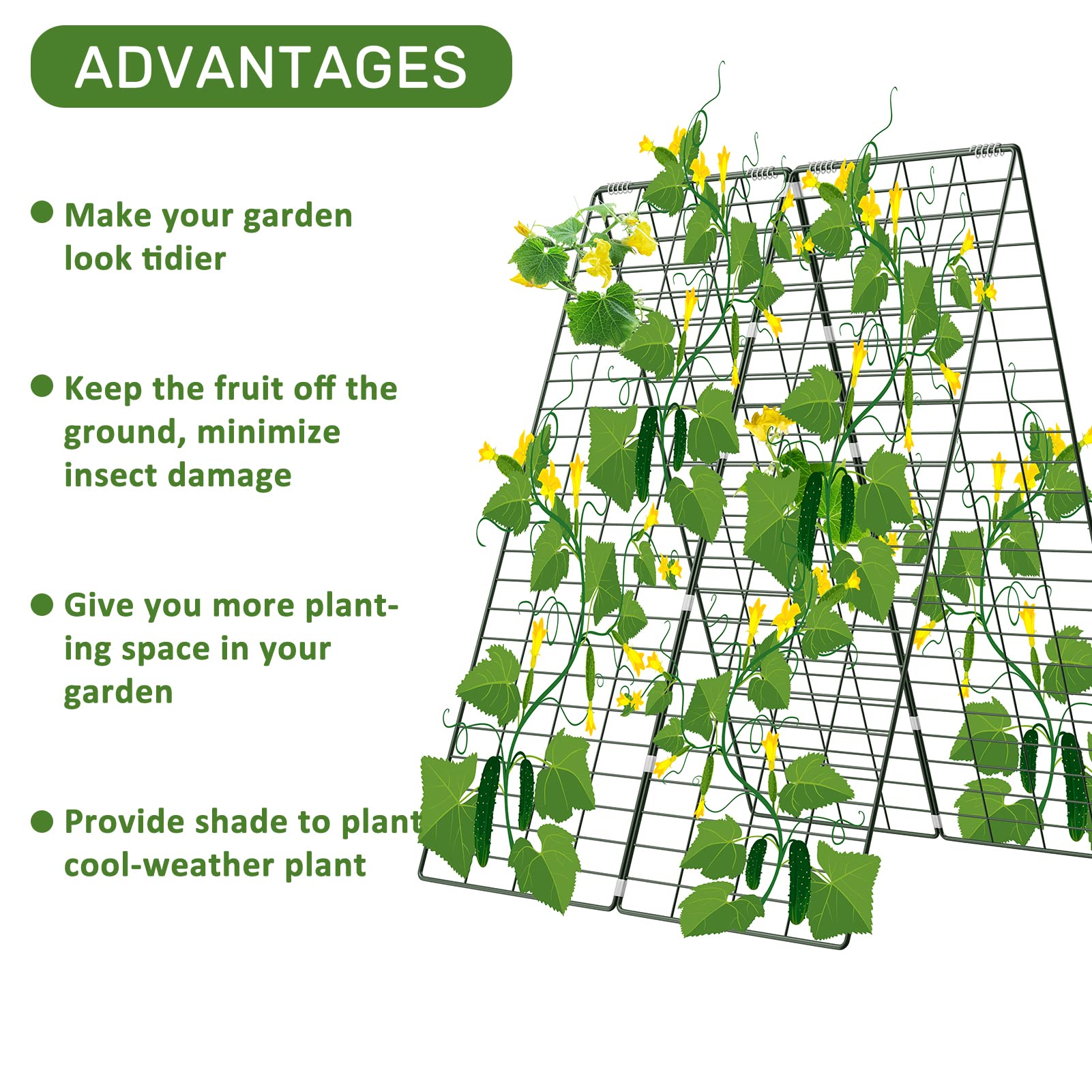 AGTEK trellis assembly step showing spring-connected panels