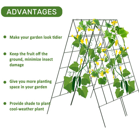 AGTEK trellis assembly with spring connection demonstrating easy setup