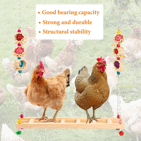 AGX Bravo beak grinding stones with bell support natural beak maintenance and enrichment.