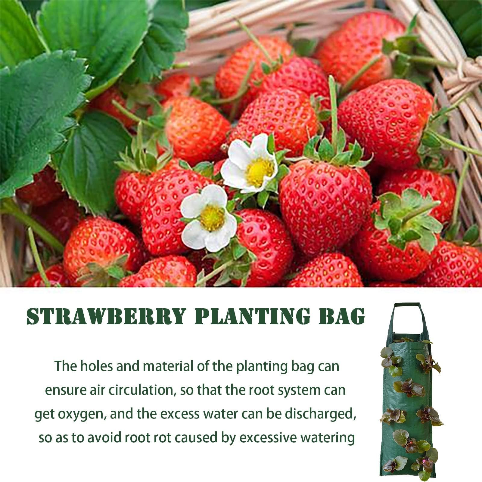 AGYTBG breathable fabric planter illustrating drainage and air flow
