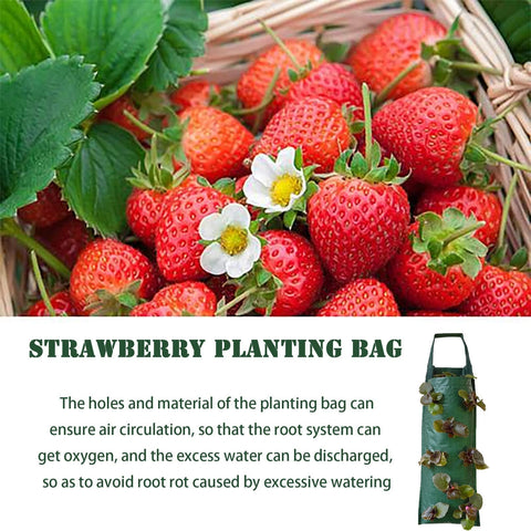 AGYTBG breathable fabric planter illustrating drainage and air flow