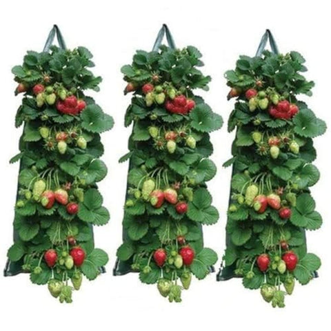 AGYTBG hanging strawberry planter in upside-down layout for space-saving patio gardening