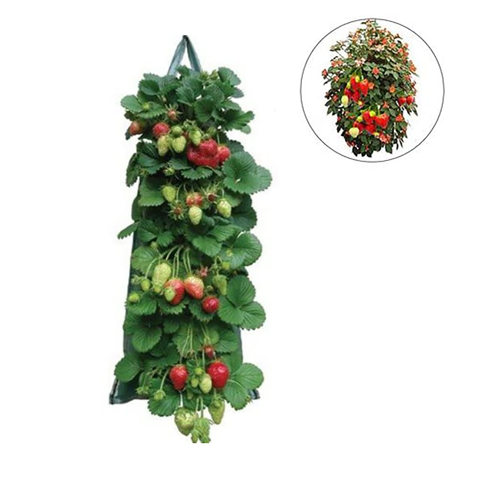 AGYTBG planter bag with sturdy handles ready for portable gardening