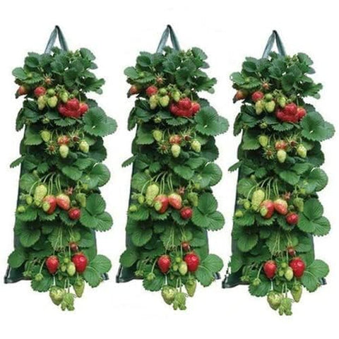 AGYTBG upside-down tomato grow bag with reinforced handles for easy transport