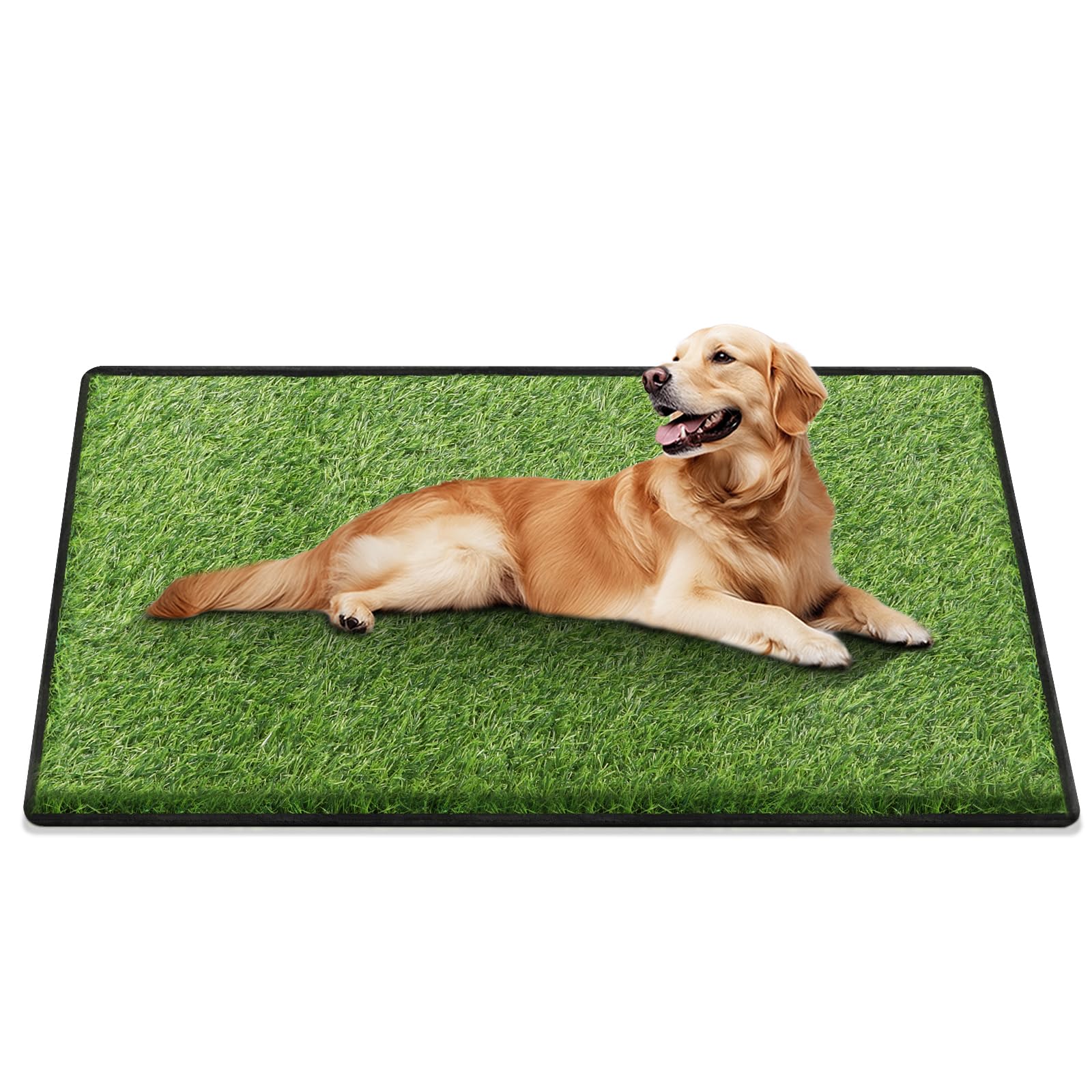 aHeemo artificial grass dogs potty 31x51 close-up shows durable texture for long use