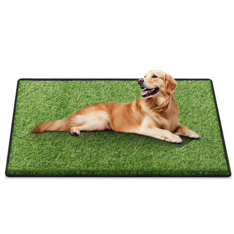 aHeemo artificial grass dogs potty 31x51 close-up shows durable texture for long use