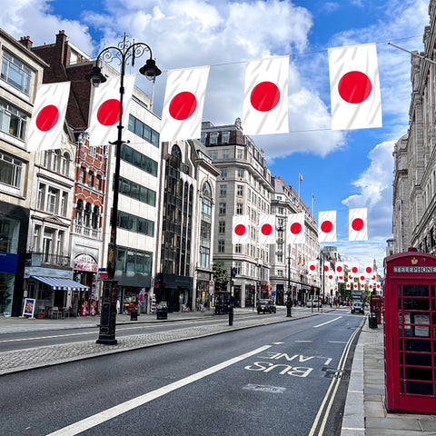AhfuLife Japan flag ready for outdoor yard or balcony display.