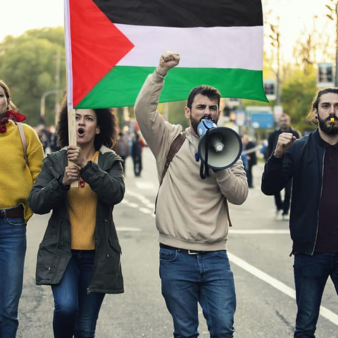 AhfuLife Palestine flag brass grommets enable quick setup