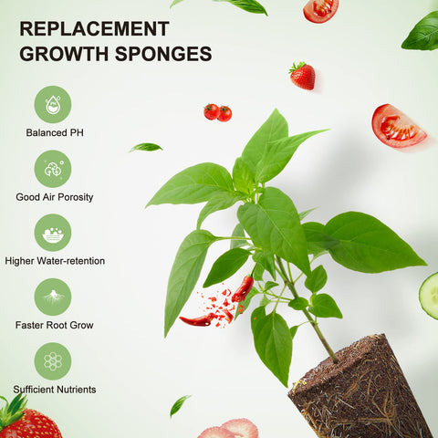 Ahopegarden all-year indoor garden setup enables year-round harvests.