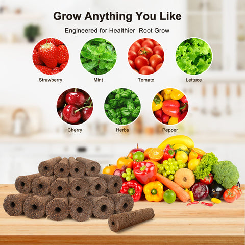 Ahopegarden ideal gift for plant lovers seeking simple home gardening.