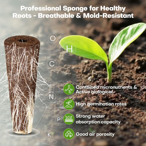 Sturdy grow baskets keep sprouts secure while you monitor nutrient uptake.