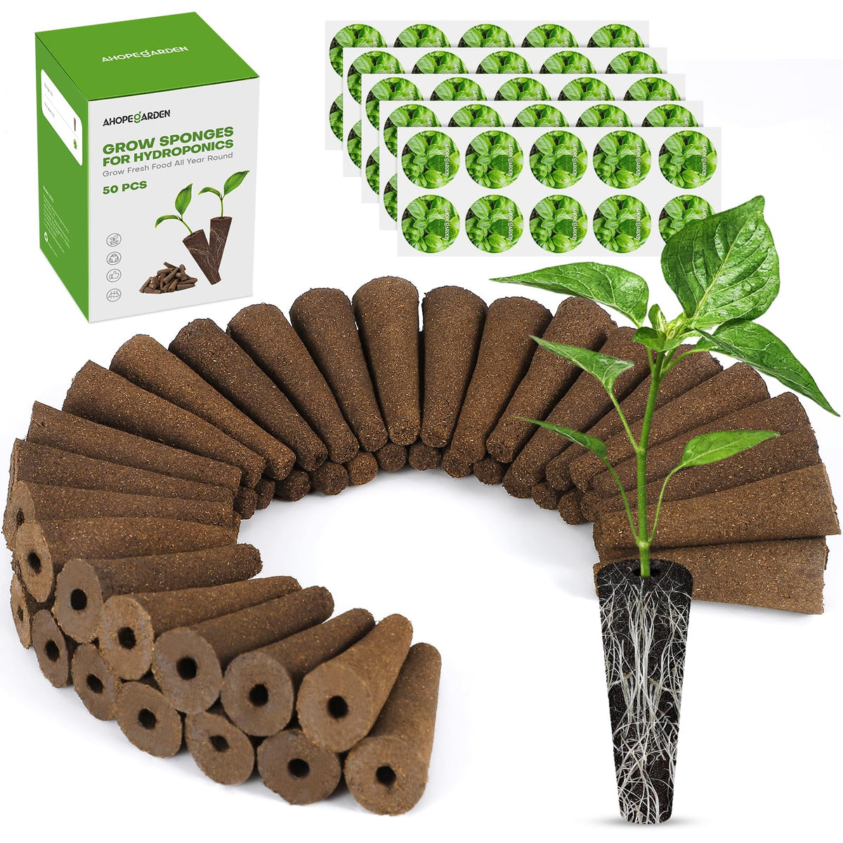 Ahopegarden hydroponic pods kit with 50 sponges improves seed germination and setup simplicity.