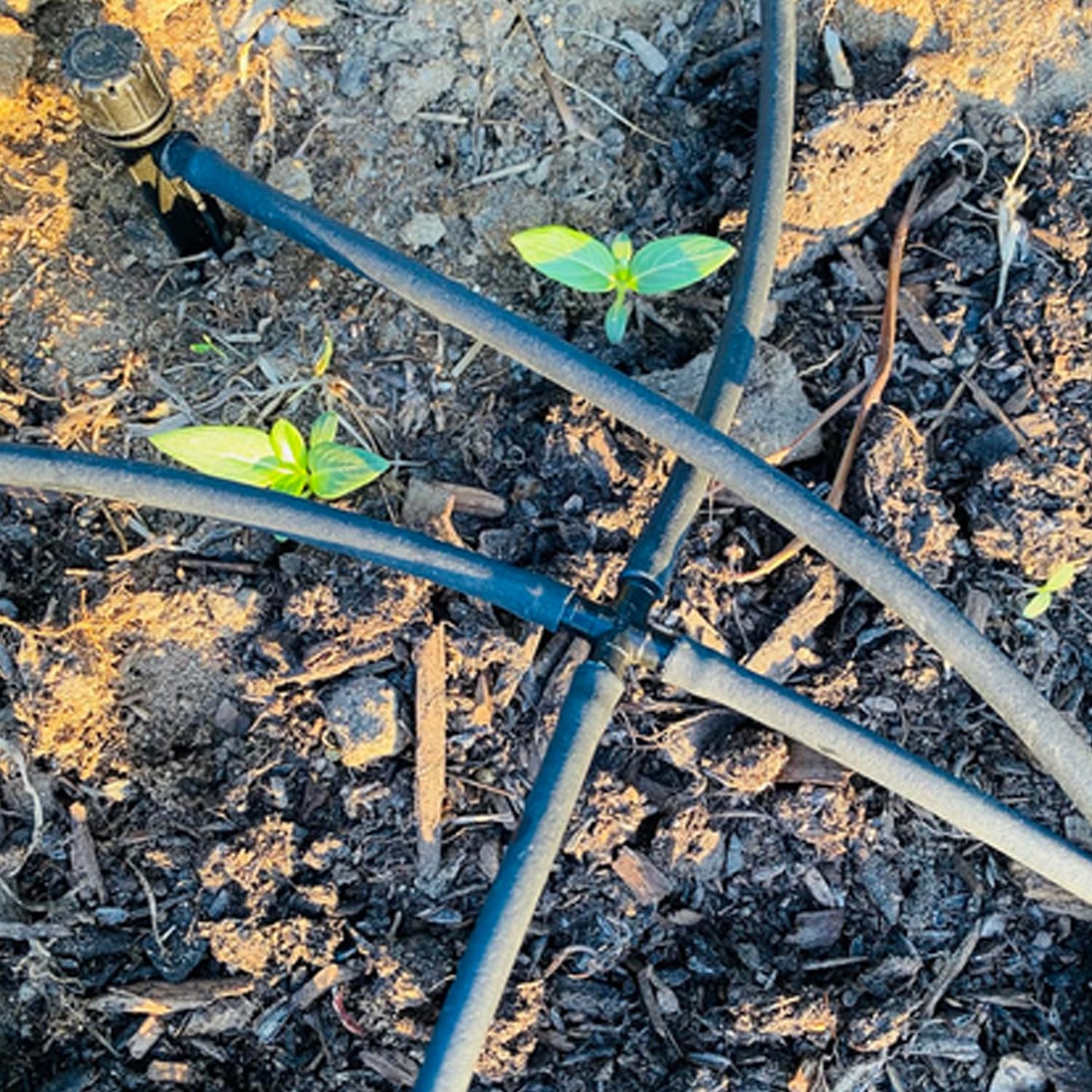 Aienxn elbow barb connector image, flexible routing around pots and beds