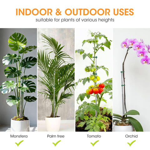 AIEVE indoor orchid support sticks excel in humid living rooms