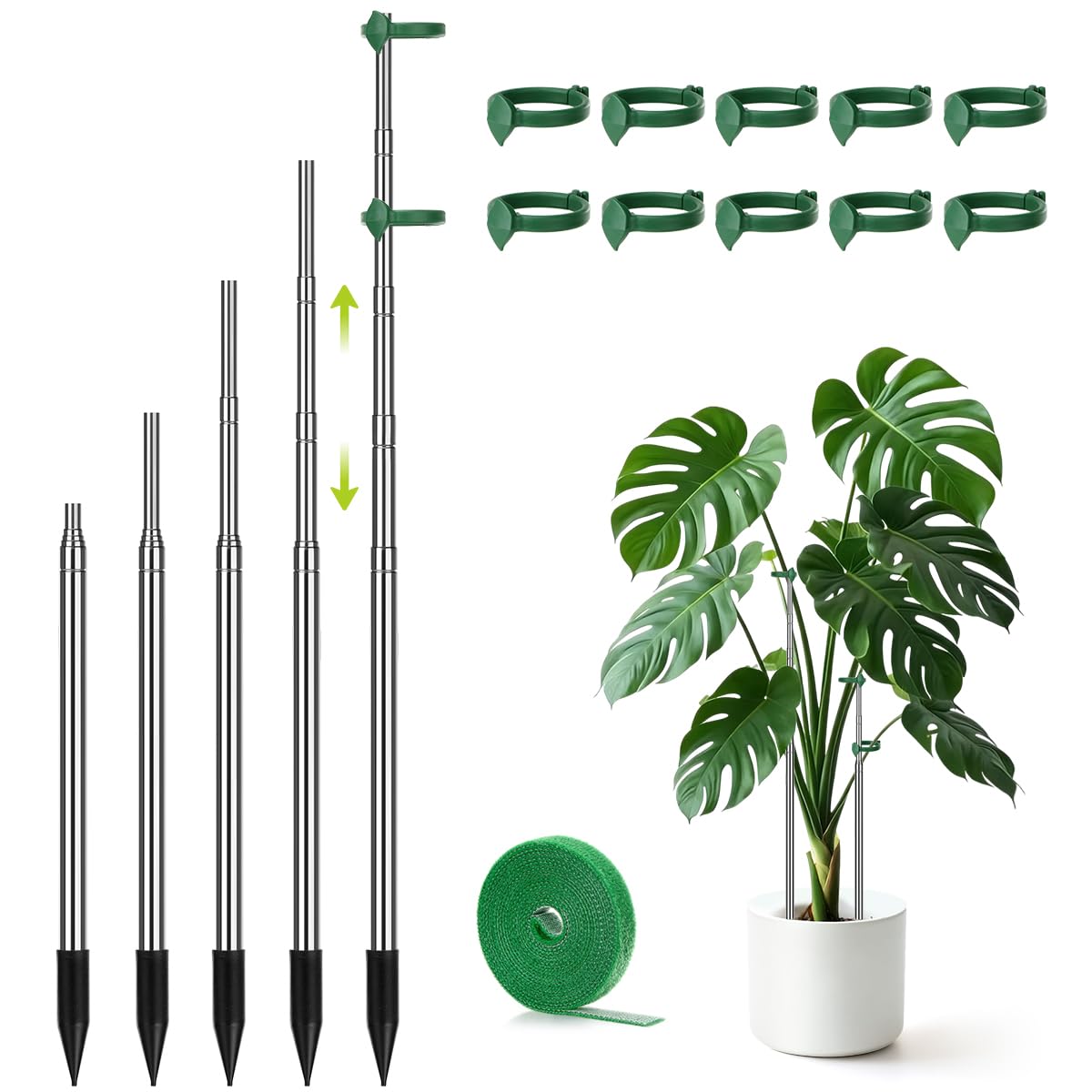 AIEVE extendable plant stakes supporting a thriving tomato plant outdoors