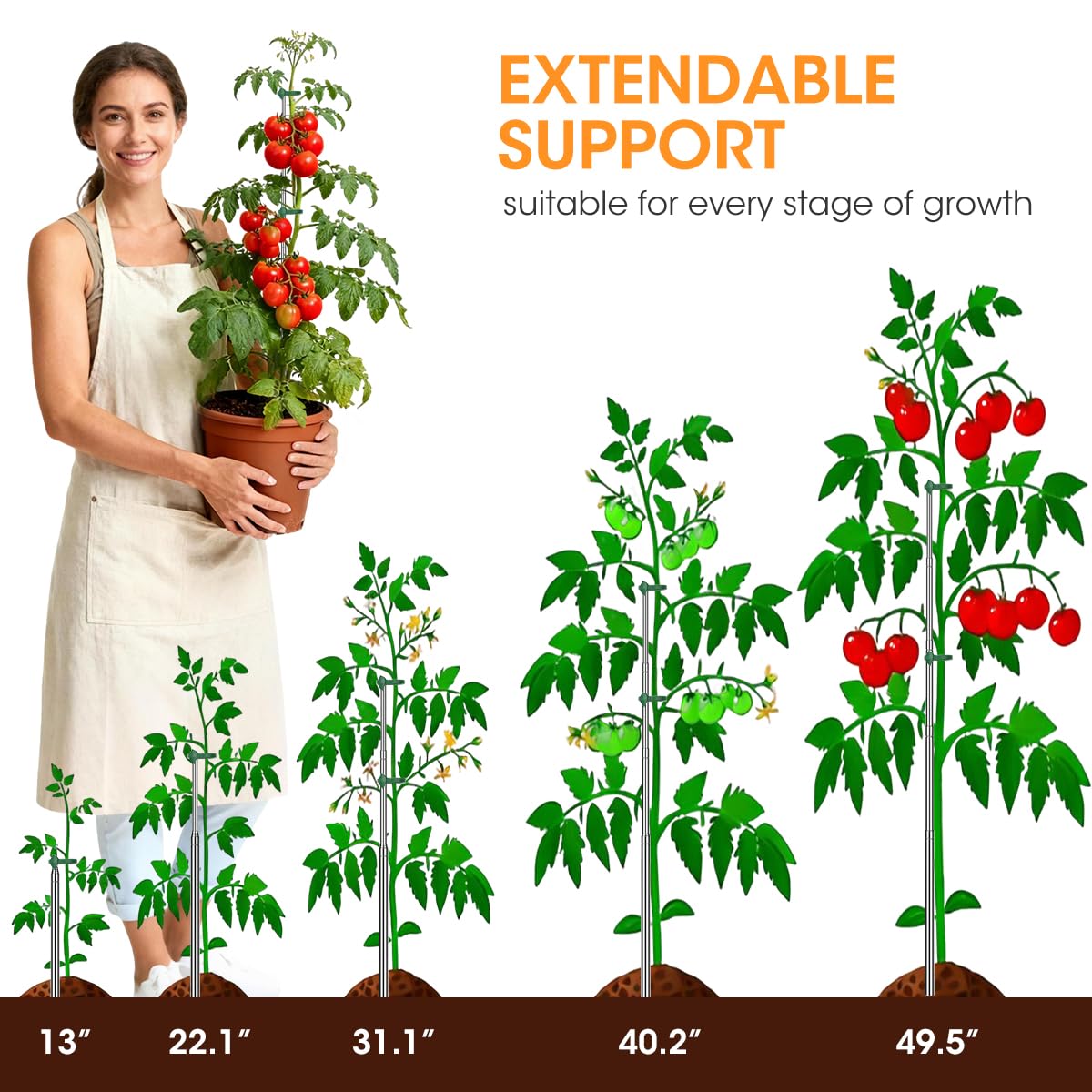AIEVE stainless steel telescoping stake demonstrates rust-free durability for long lasting garden support