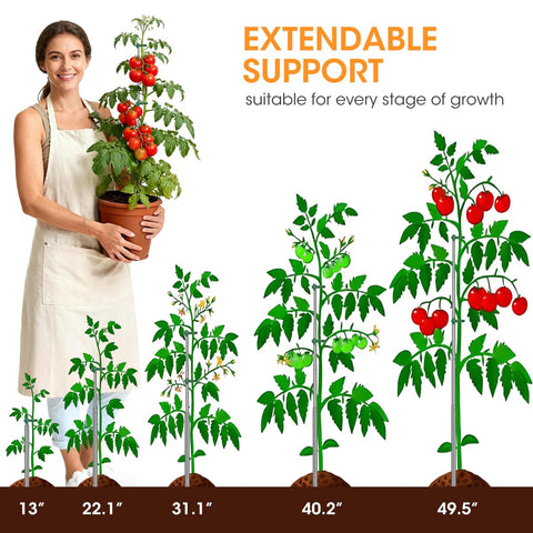 AIEVE stainless steel telescoping stake demonstrates rust-free durability for long lasting garden support