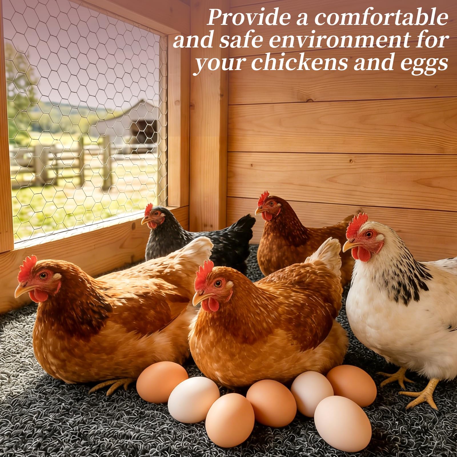 Aifong gray nest surface provides comfortable resting spots for hens.