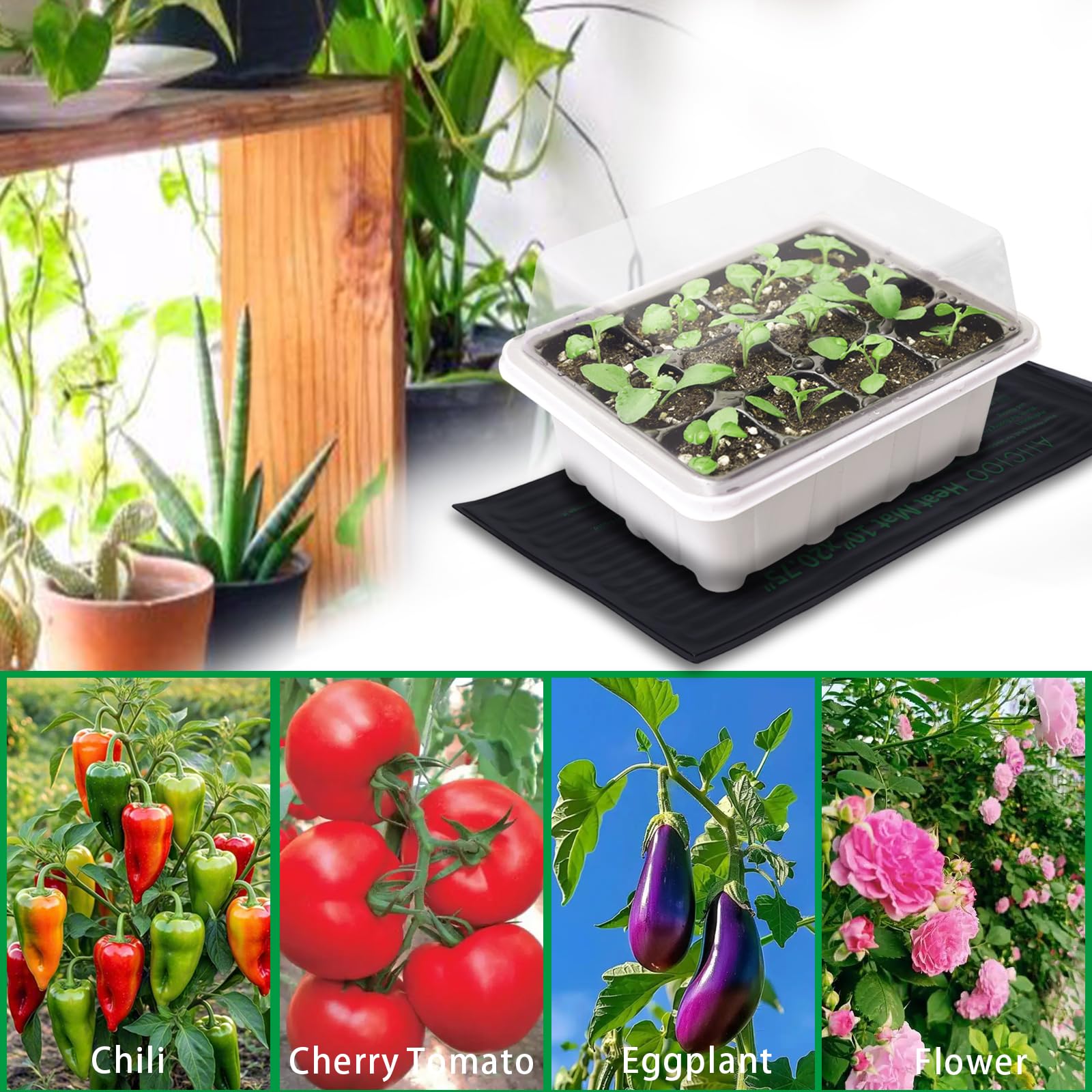 Aiicioo heat mat ideal for brewing or fermentation projects at home.