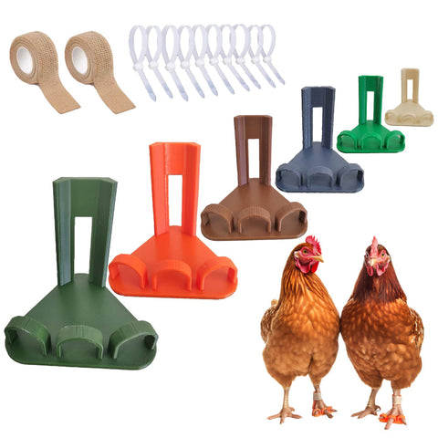 AIJINZUN chicken leg splint box opened showing six sizes for growing chickens
