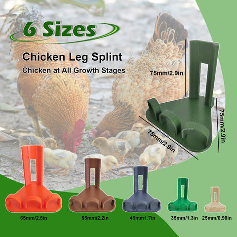 AIJINZUN leg splint applied to a chick’s foot with toe separator