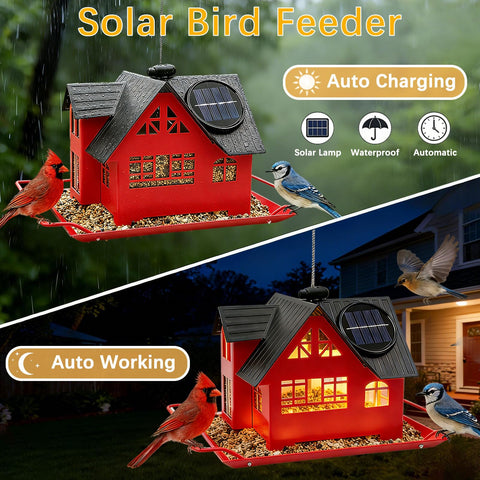 AIKS heavy-duty metal bird feeder robust frame protects seeds and stops warping.