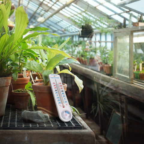 AikTryee back-stand design allows table placement or wall mounting for flexible setup.