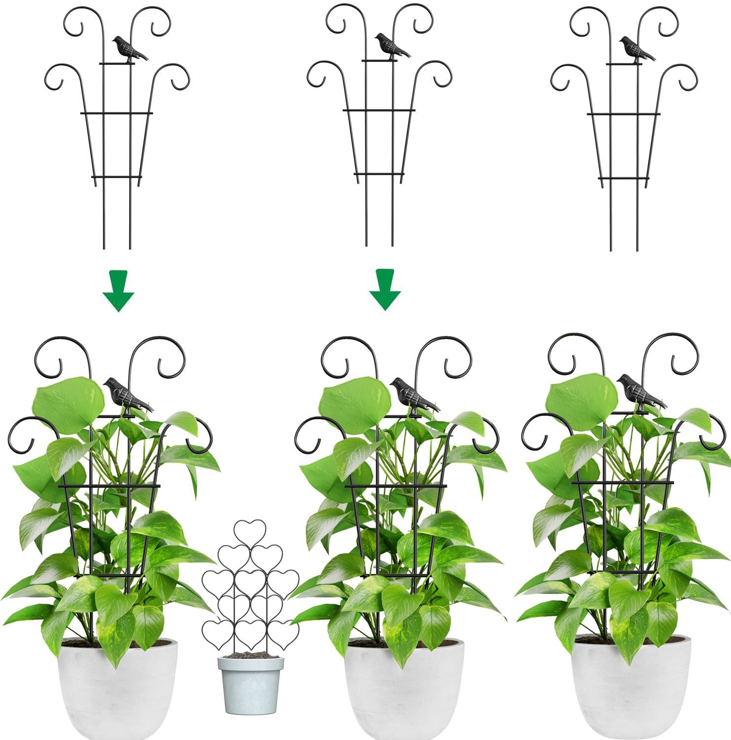 Ailibre Bird Design indoor trellis in a 3-pack, ideal for vertical plant support and cute aesthetics