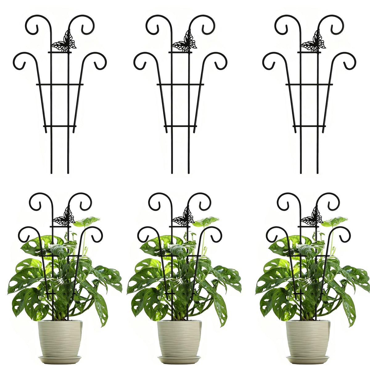 Ailibre butterfly design trellis front view shows modular stackable sections for climbing plants.