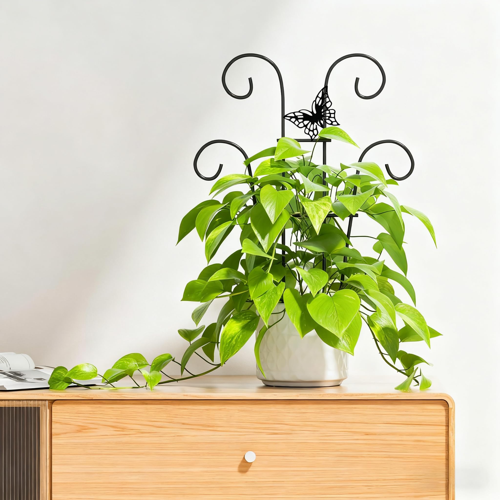 Ailibre butterfly trellis multi-use for balcony gardens and patios.
