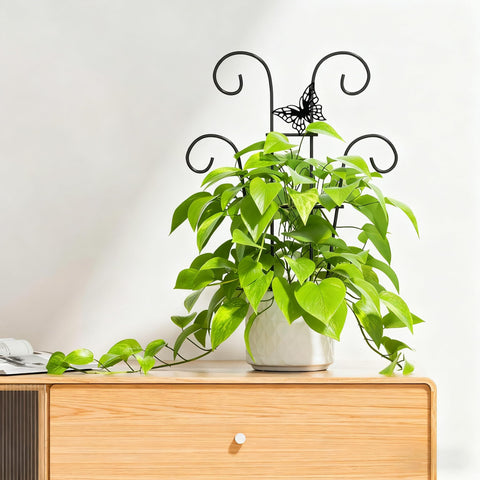 Ailibre butterfly trellis multi-use for balcony gardens and patios.