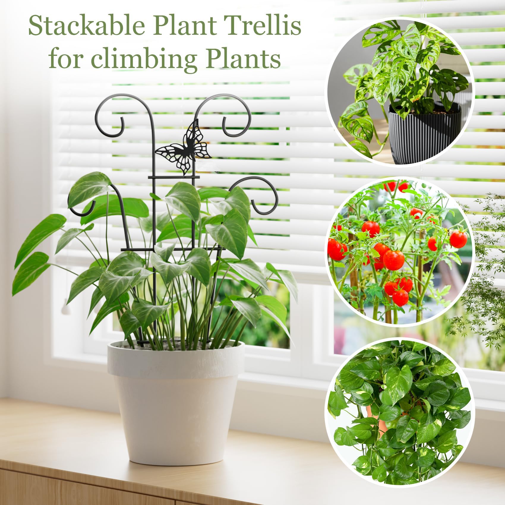Ailibre flower vine trellis improves airflow and light exposure around leaves.