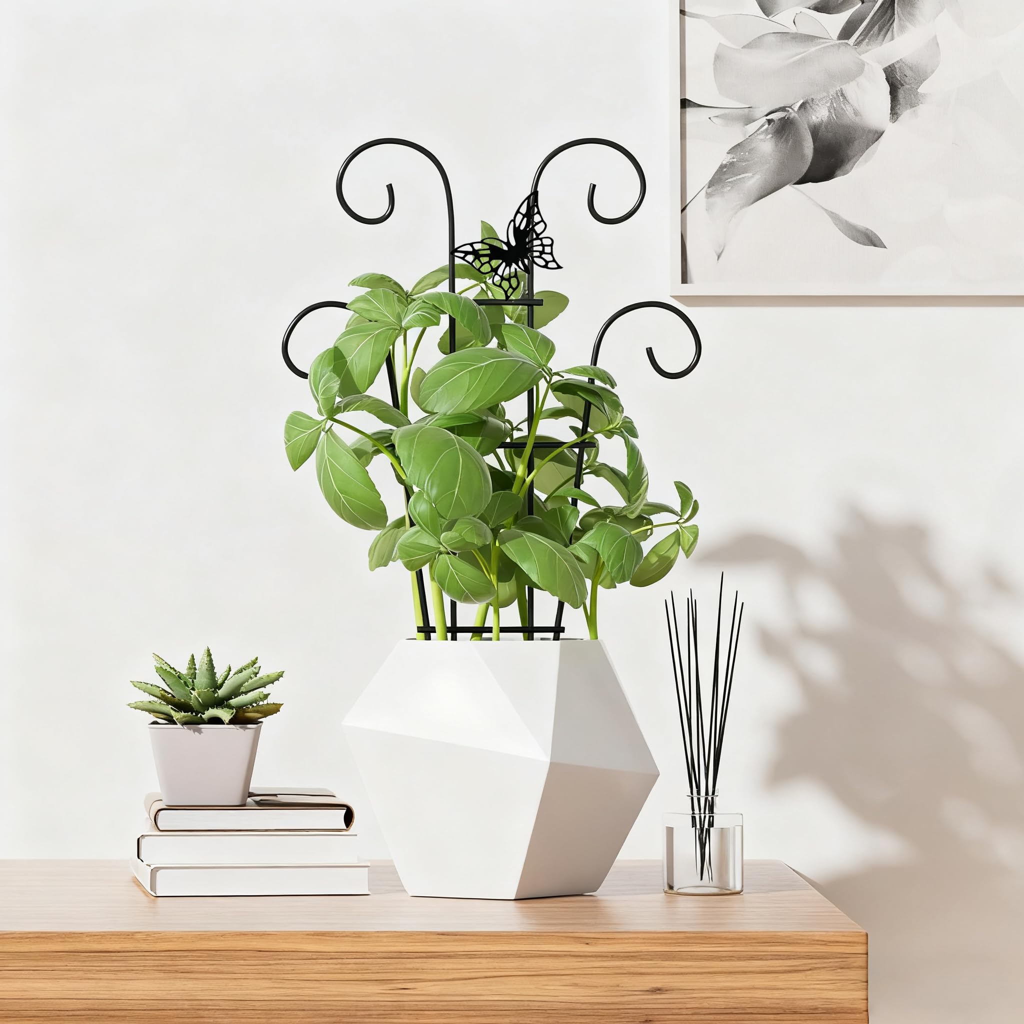 Ailibre garden trellis value pack stackable and affordable.
