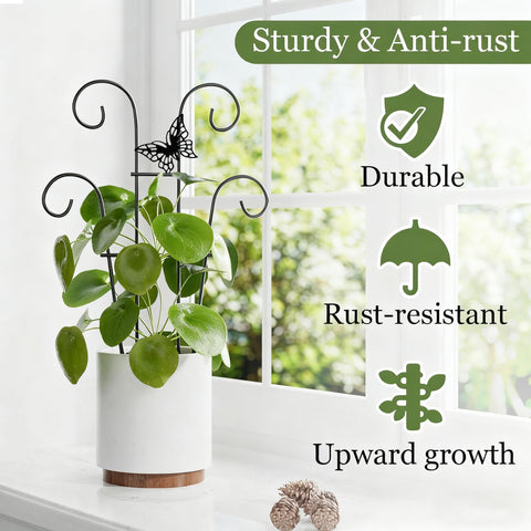 Ailibre ivy climbing trellis support for compact indoor plants.