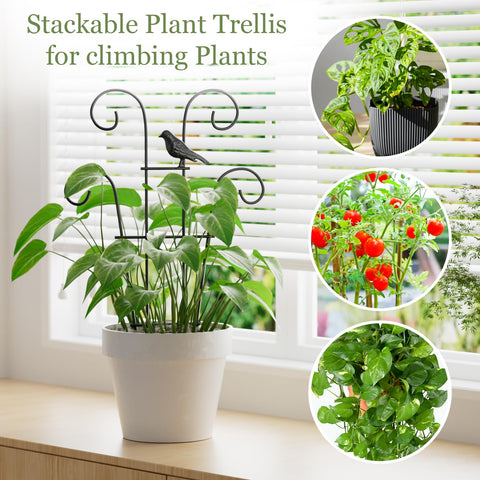 Ailibre outdoor garden use trellis with plant showing versatile outdoor placement