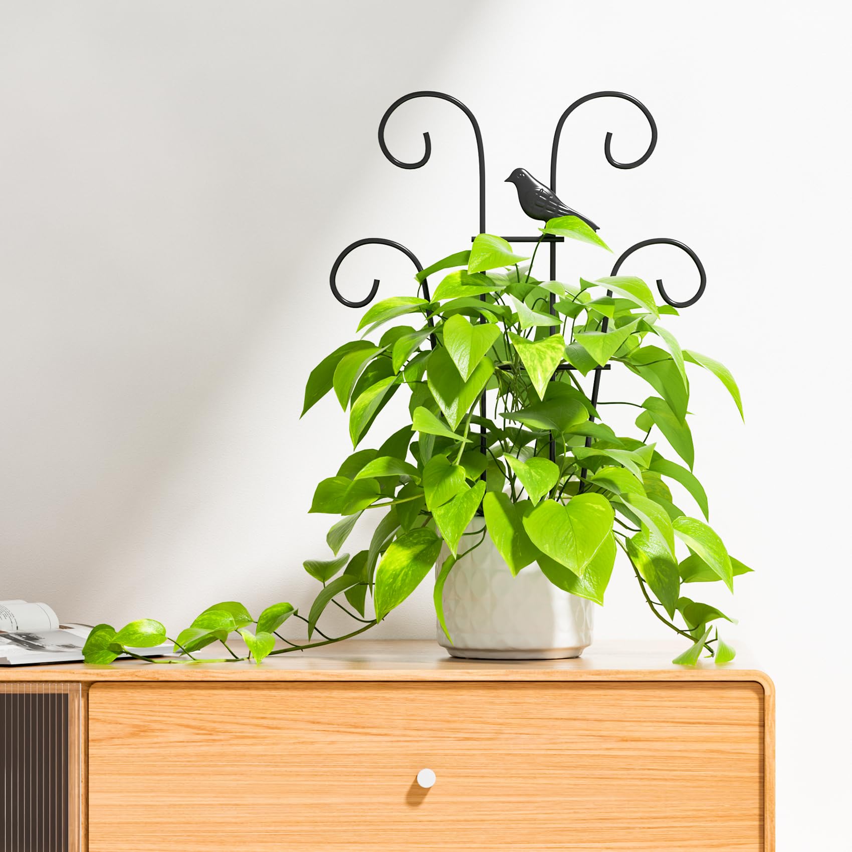 Ailibre versatile-fit trellis adapting to different pot sizes for flexible setup