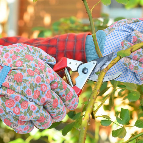 Ainiv two-pair gift-set ideal for gardening enthusiasts and hobbyists.